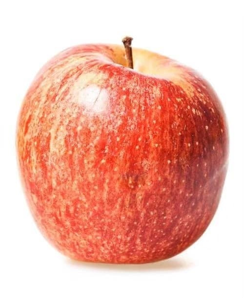 #แอปเปิ้ล พันธฺุกาล่า แจ๊ส และวอชิงตัน ต้นพันธุ์แบบเพาะเมล็ด