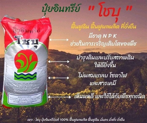 ปุ๋ยอินทรีย์แท้ 100%คุณภาพสูงอัดเม็ด(ชนิดแบ่งขาย 2 กิโลกรัม) | BKP Organic Farm - ปากพนัง นครศรีธรรมราช