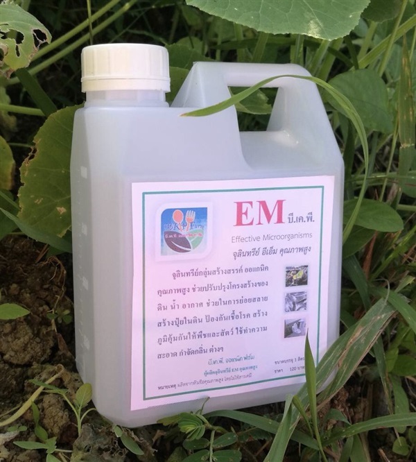 EM จุลินทรีย์ออแกนิคคุณภาพสูง ขนาด 1 ลิตร | BKP Organic Farm - ปากพนัง นครศรีธรรมราช