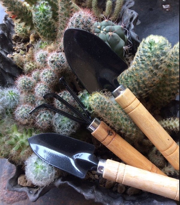 ชุดเครื่องมือทำสวน | Cactus_accessories.th(IG) -  ลำปาง