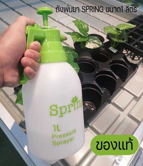  [ส่งฟรี] ถังพ่นยาSPRING ของแท้ ขนาด1ลิตร กระบอกฉีดน้ำแรงดัน | ชาวสวนมะพร้าว - ดินแดง กรุงเทพมหานคร