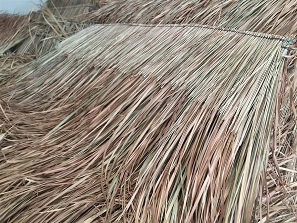 หญ้าคา หญ้าคามุงหลังคา ยาว 1.5 ม. ราคาแผ่นละ 25 บาท | mebamboothailand - เมืองนนทบุรี นนทบุรี