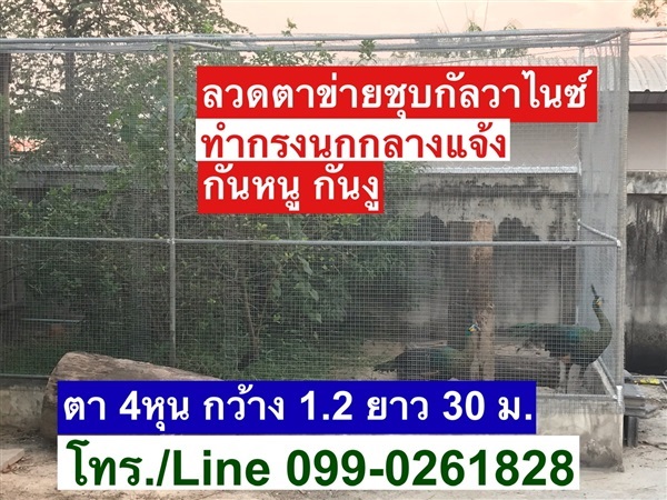 ลวดตาข่าย กันสนิม ตา 4 หุน