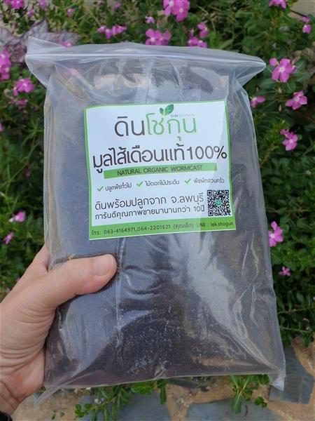 มูลไส้เดือนแท้ | ดินโชกุน - ชัยบาดาล ลพบุรี