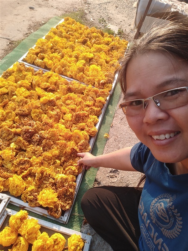 ขายสมุนไพรดอกสุพรรณการ์ตากแห้ง | เมล็ดพันธุ์ดี เกษตรวิถีไทย - เมืองระยอง ระยอง