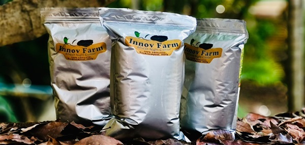 มูลไส้เดือนเนื้อละเอียด แท้ 100%  3KG  | InnovFarm - หนองจอก กรุงเทพมหานคร