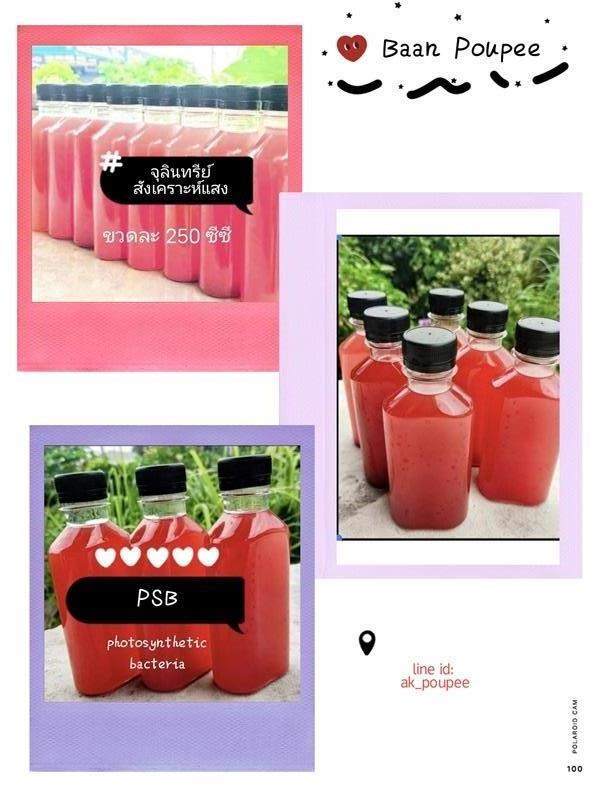 PSB: จุลินทรีย์สังเคราะห์แสงสีแดง (ม่วง) ขนาด 250 ml | Baan Poupee - เมืองชลบุรี ชลบุรี