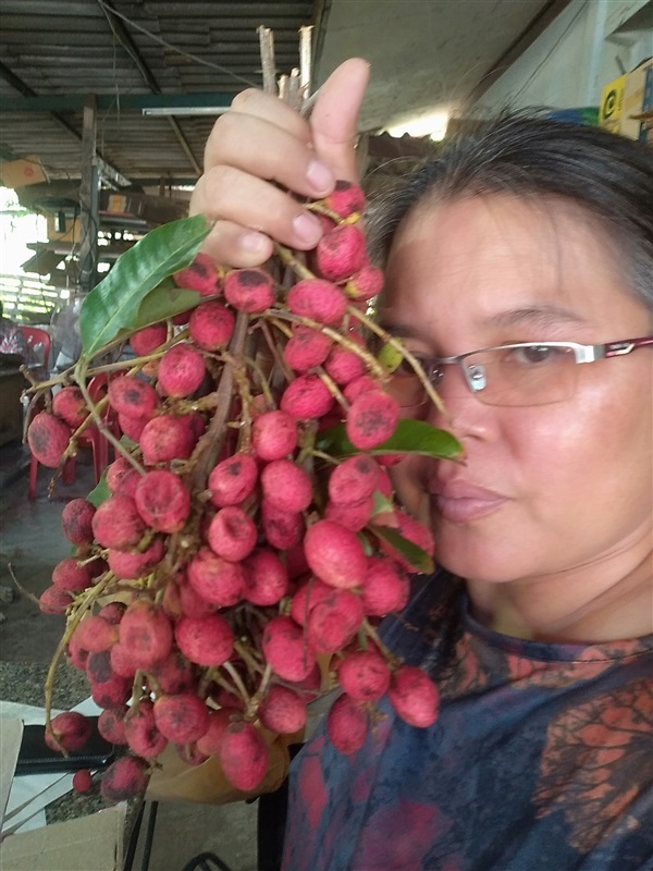 หมากแงว คอแลน ลิ้นจี่อีสาน | เมล็ดพันธุ์ดี เกษตรวิถีไทย - เมืองระยอง ระยอง