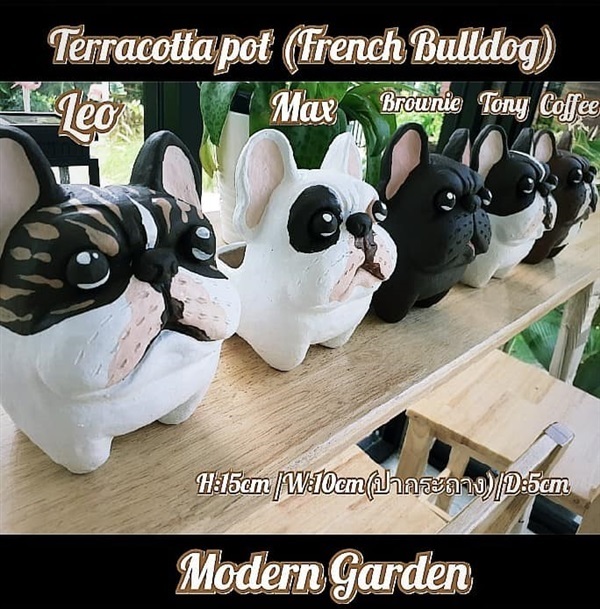 Terracotta pot (French Bulldog) สนใจ line:moderngarden6 | Modern Garden Thailand - บางพลัด กรุงเทพมหานคร