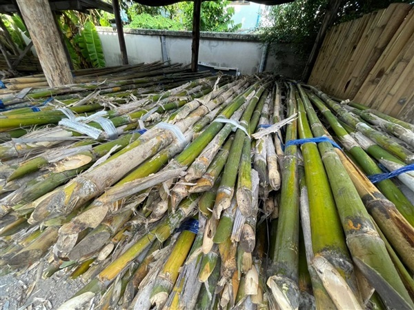 ไม้ไผ่รวก ยาว 2.5 ม. และ 4 ม.  | mebamboothailand - เมืองนนทบุรี นนทบุรี