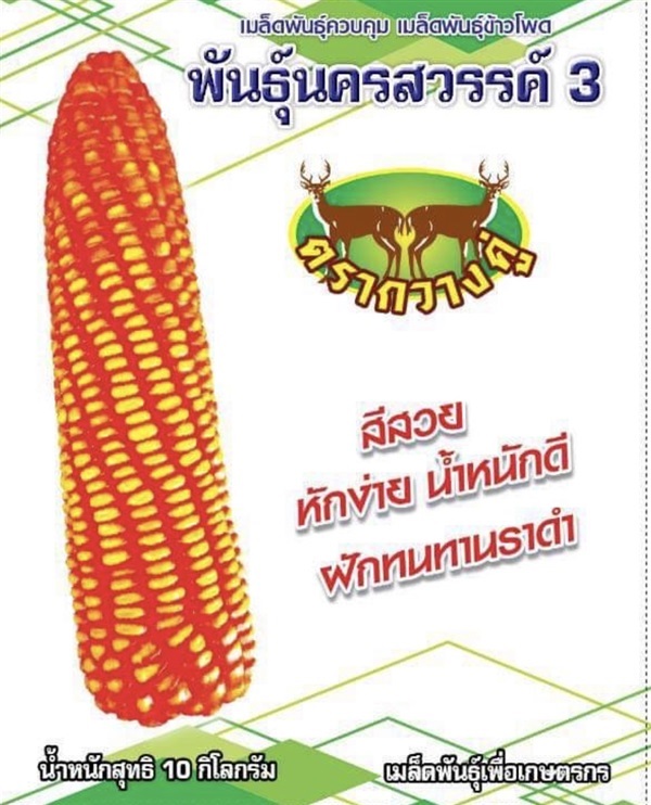 เมล็ดพันธุ์ข้าวโพดนครสวรรค์3 | เชียงใหม่อุดมการเกษตรเมล็ดพันธ์ุ - พร้าว เชียงใหม่