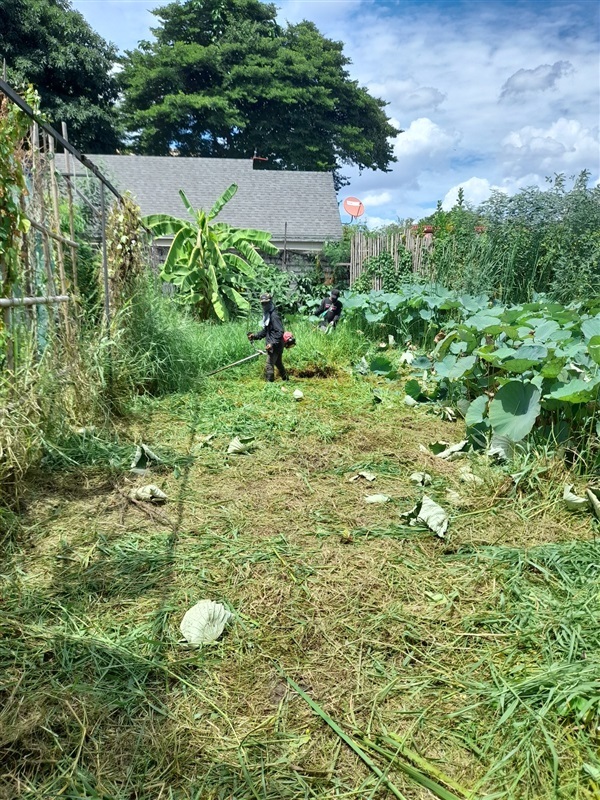 ตัดหญ้าร่องสวน ร้านอาหาร ตัดหญ้า เคลียริ่ง ขนทิ้ง  | ดูดีการ์เด้นโฮม - บางบัวทอง นนทบุรี