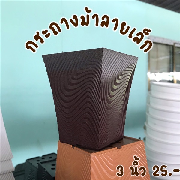 กระถาง ขนาด 3" | Little Home"ลิตเติ้ลโฮม" -  สมุทรปราการ