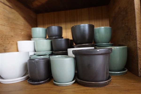 กระถาง CERAMIC ขนาดเล็ก | Naisuanshop -  นนทบุรี