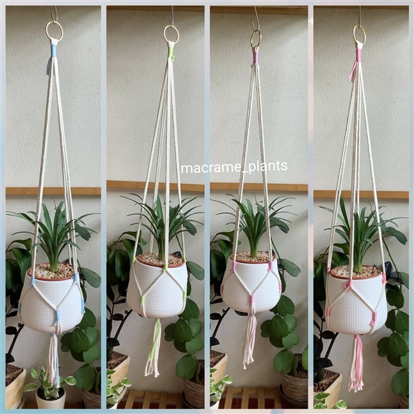 เชือกแขวนกระถางต้นไม้  | Macrame plant hanger - บางขุนเทียน กรุงเทพมหานคร