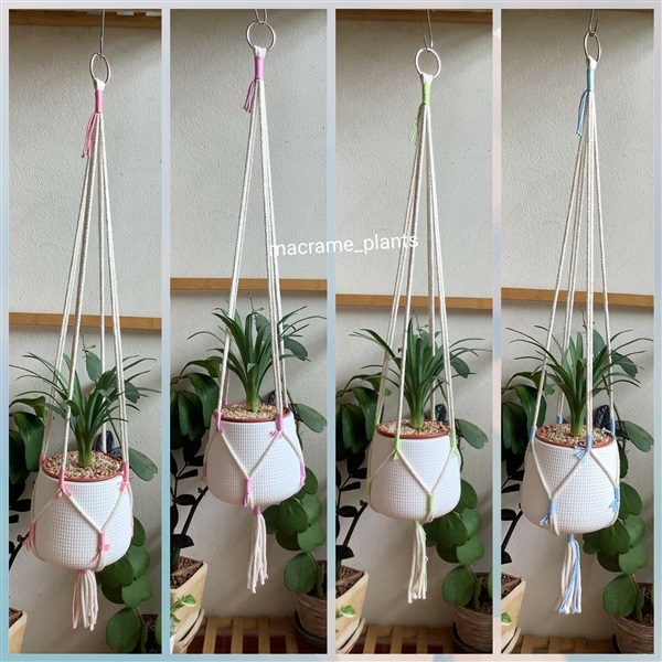 เชือกแขวนกระถางต้นไม้ | Macrame plant hanger - บางขุนเทียน กรุงเทพมหานคร