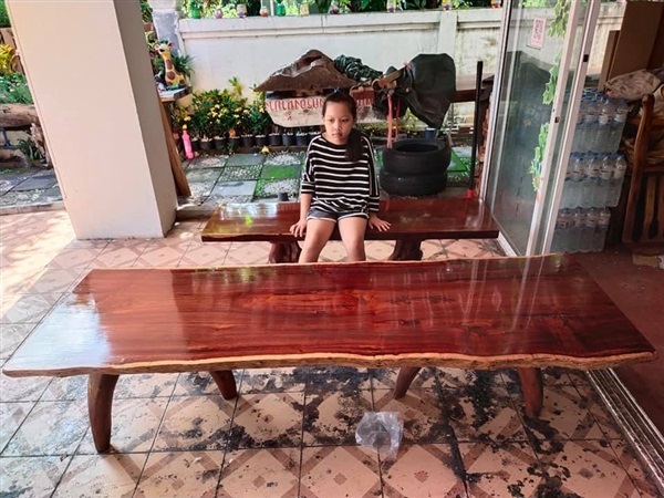 (ขายแล้ว)โต๊ะไม้ประดู่ ไม้แผ่นเดียว พร้อมขาเหล็ก ยาว 223 cm. | ร้าน Chat_Shop  (เฟอร์นิเจอร์ไม้)  - บางใหญ่ นนทบุรี