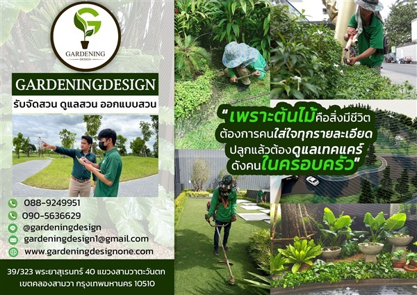 Gardening Design(บริษัท การ์เดนนิ่ง ดีไซน์ จำกัด) รับดูแลสวน | Gardening Design (บริษัท การ์เดนนิ่ง ดีไซน์ จำกัด) - คลองสามวา กรุงเทพมหานคร