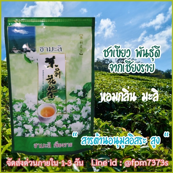 จำหน่าย ใบชาเขียวอบแห้ง ชาเขียวมะลิ Green Tea จากเชียงราย 