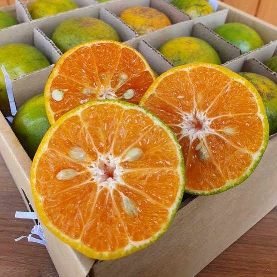 ส้มสายน้ำผึ้ง