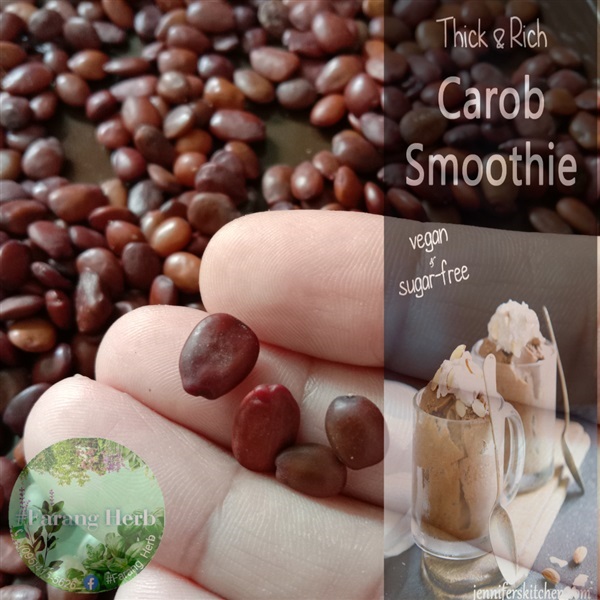 เมล็ด คารอป / carob  6เมล็ด 90บาท