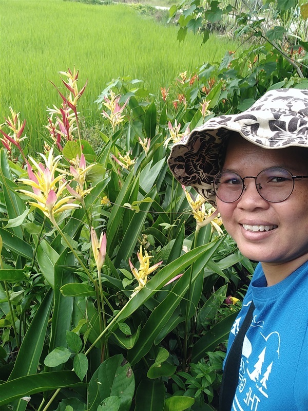 ธรรมรักษา ก้ามกุ้ง | เมล็ดพันธุ์ดี เกษตรวิถีไทย - เมืองระยอง ระยอง