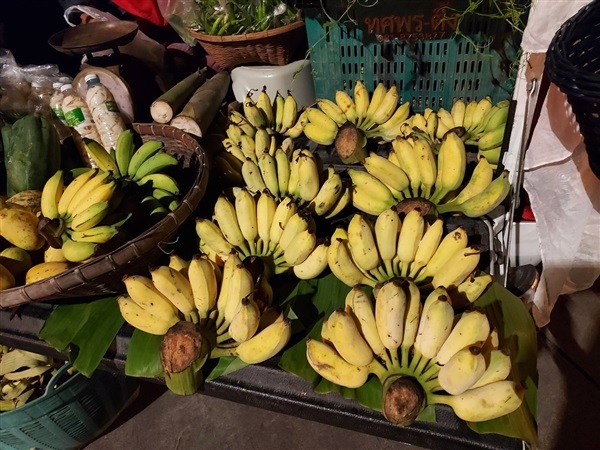 กล้วยน้ำว้าสุพรรณบุรี | กล้วยน้ำว้าสวนสมบูรณ์ - เมืองสุพรรณบุรี สุพรรณบุรี