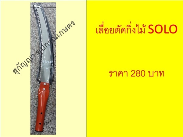 เลื่อยตัดกิ่ง SOLO | สุกัญญา อุปกรณ์การเกษตร - บางบัวทอง นนทบุรี