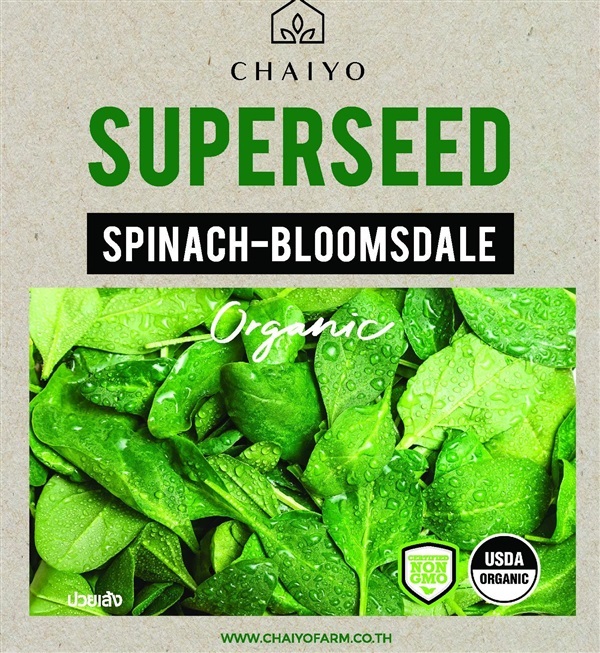 เมล็ด SPINACH-Bloomsdale (Organic) ปวยเล้ง ออร์แกนิค