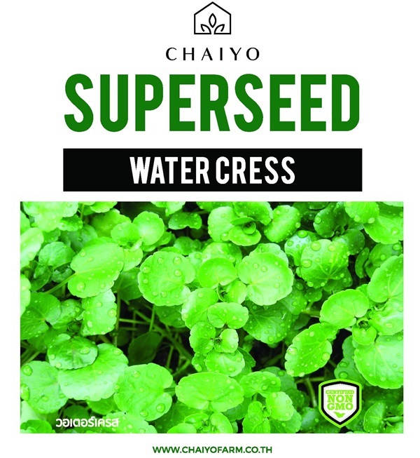 เมล็ด WATER CRESS วอเตอร์เครส