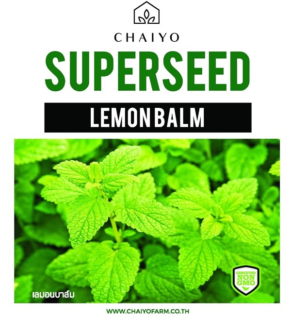 เมล็ด LEMON BALM เลมอนบาล์ม