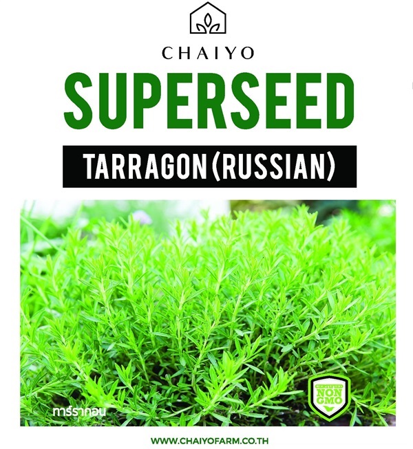 เมล็ด TARRAGON (Russian) ทาร์รากอน | บริษัท ชัยโยฟาร์ม จำกัด - บางแค กรุงเทพมหานคร