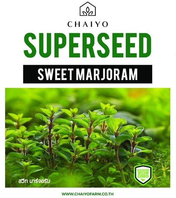 เมล็ด SWEET MARJORAM สวีท มาร์จอรัม | บริษัท ชัยโยฟาร์ม จำกัด - บางแค กรุงเทพมหานคร