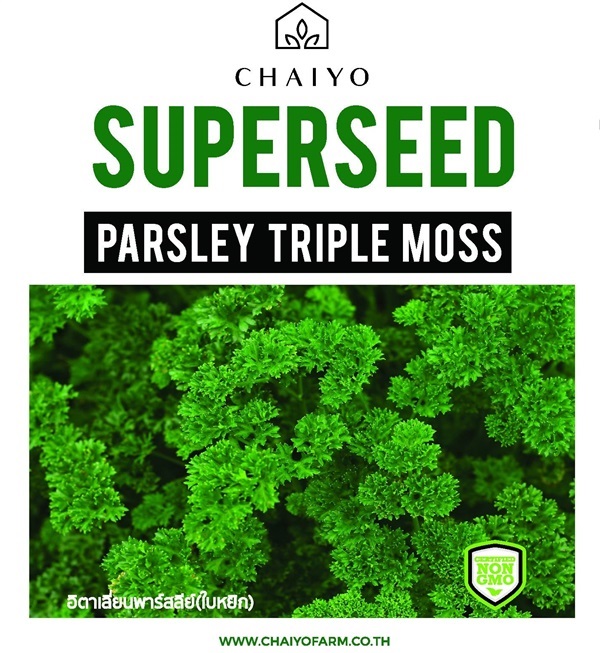 เมล็ด Parsley (Triple Moss) อิตาเลี่ยนพาร์สลีย์(ใบหยิก) | บริษัท ชัยโยฟาร์ม จำกัด - บางแค กรุงเทพมหานคร