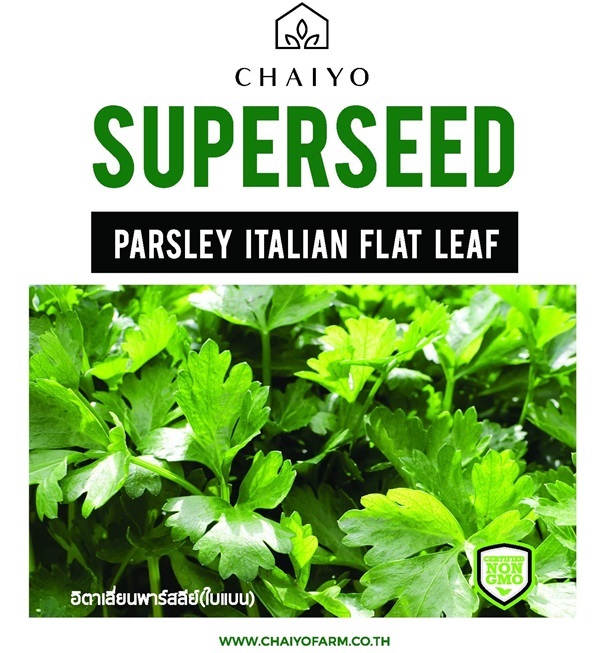 เมล็ด Parsley (Italian Flat leaf)  อิตาเลียนพาร์สลีย์ (ใบเรี | บริษัท ชัยโยฟาร์ม จำกัด - บางแค กรุงเทพมหานคร