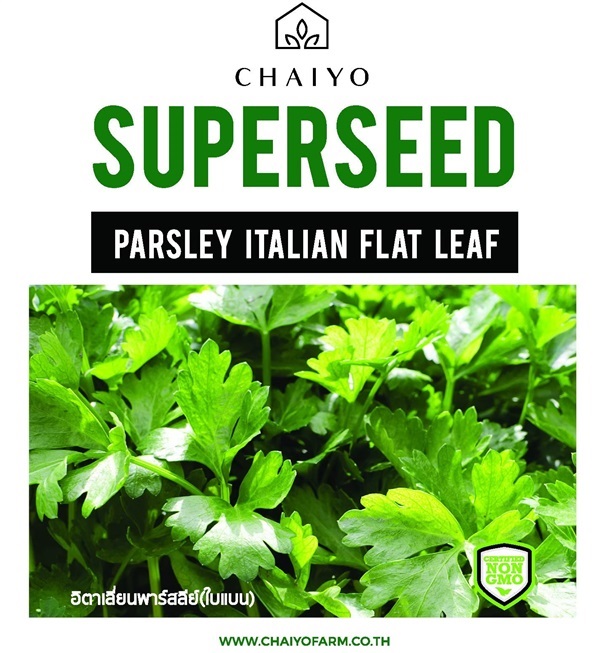 เมล็ด Parsley (Italian Flat leaf)  อิตาเลียนพาร์สลีย์ (ใบเรี