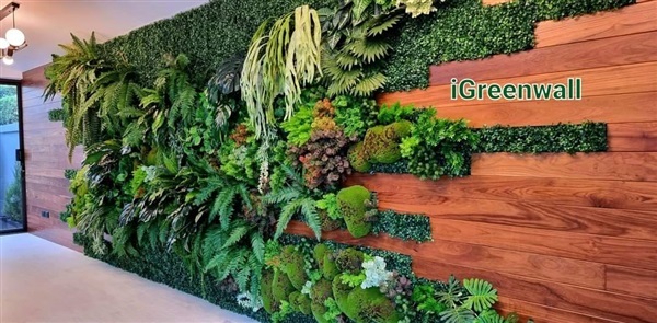 สวนแนวตั้ง | สวนแนวต้้ง iGreenwall - ทุ่งครุ กรุงเทพมหานคร