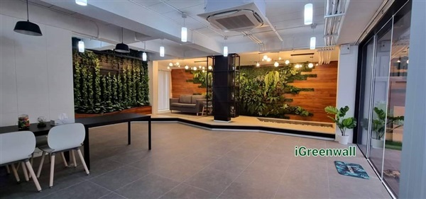 สวนแนวตั้ง | สวนแนวต้้ง iGreenwall - ทุ่งครุ กรุงเทพมหานคร