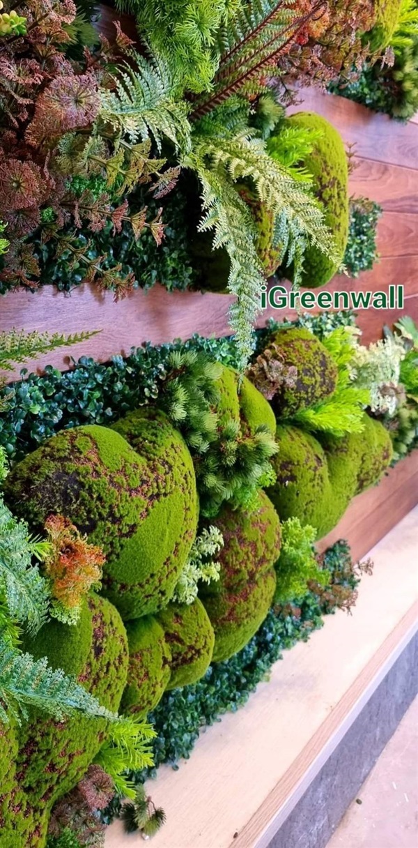 สวนแนวตั้ง | สวนแนวต้้ง iGreenwall - ทุ่งครุ กรุงเทพมหานคร