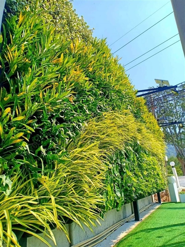 สวนแนวตั้ง | สวนแนวต้้ง iGreenwall - ทุ่งครุ กรุงเทพมหานคร