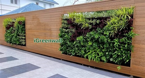 สวนแนวตั้ง | สวนแนวต้้ง iGreenwall - ทุ่งครุ กรุงเทพมหานคร