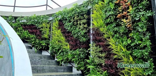 สวนแนวตั้ง | สวนแนวต้้ง iGreenwall - ทุ่งครุ กรุงเทพมหานคร