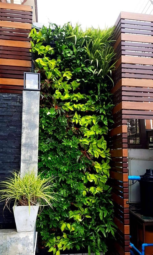 สวนแนวตั้ง | สวนแนวต้้ง iGreenwall - ทุ่งครุ กรุงเทพมหานคร