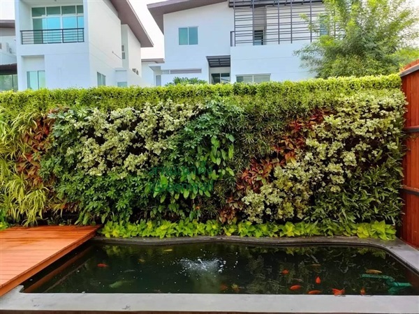 สวนแนวตั้ง | สวนแนวต้้ง iGreenwall - ทุ่งครุ กรุงเทพมหานคร