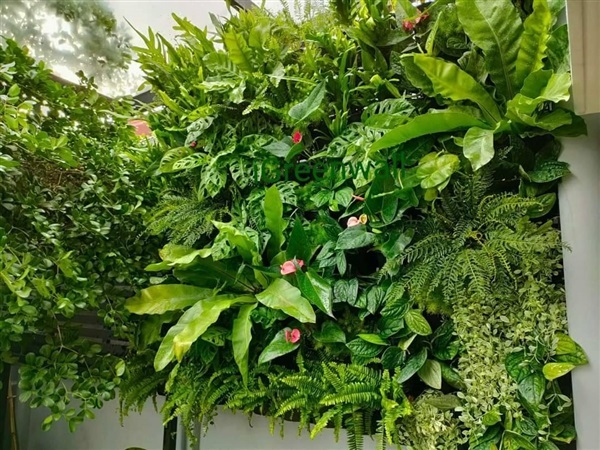 สวนแนวตั้ง | สวนแนวต้้ง iGreenwall - ทุ่งครุ กรุงเทพมหานคร