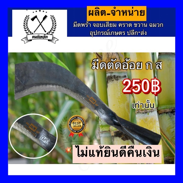 มีดตัดอ้อย | รวมแบงค์การเกษตร - เมืองสกลนคร สกลนคร