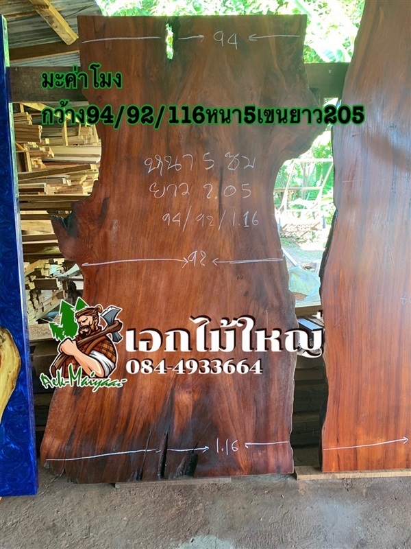 มะค่าโมงไทย | เอกไม้ใหญ่ - เมืองนครสวรรค์ นครสวรรค์