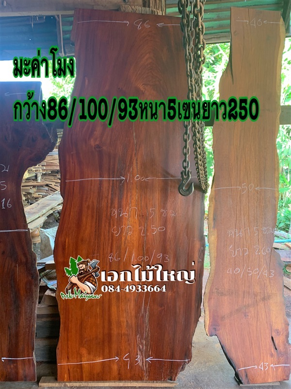 มะค่าโมงไทย | เอกไม้ใหญ่ - เมืองนครสวรรค์ นครสวรรค์