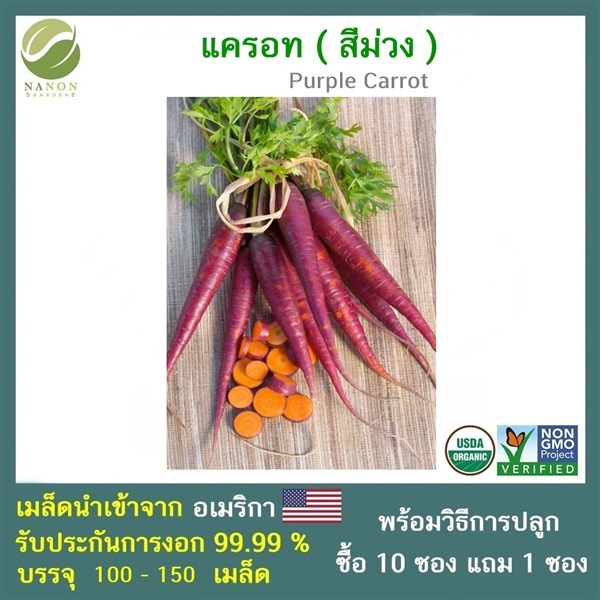 เมล็ด แครอทสีม่วง (Purple Carrot) | ณ นนท์ การ์เด้น - บางบัวทอง นนทบุรี