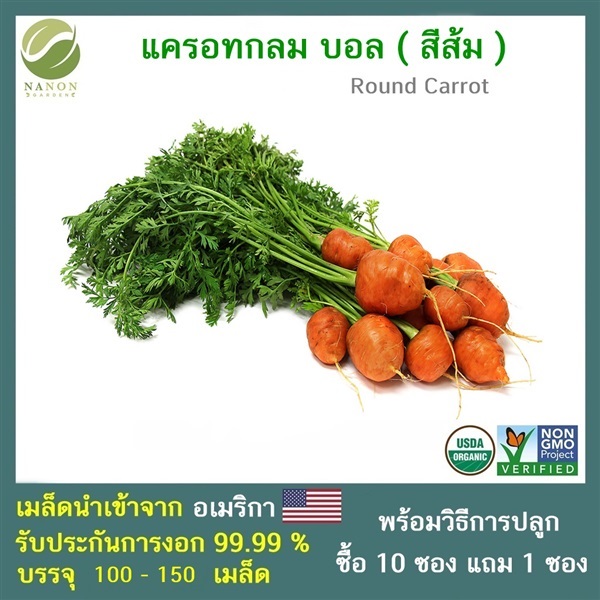 เมล็ด แครอท กลม (Round Carrot) | ณ นนท์ การ์เด้น - บางบัวทอง นนทบุรี